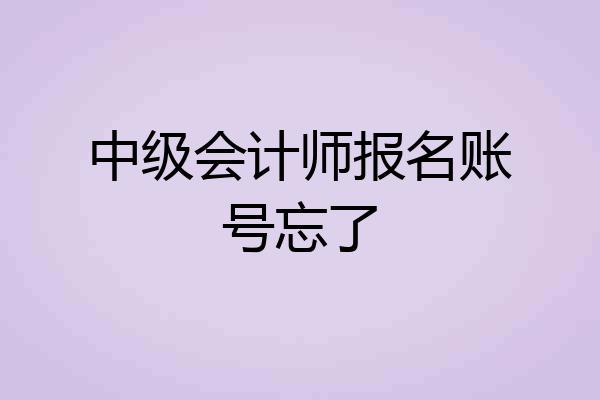 中级会计师报名账号忘了