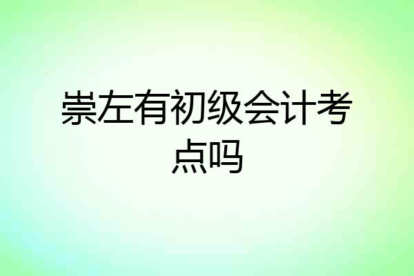 崇左有初级会计考点吗