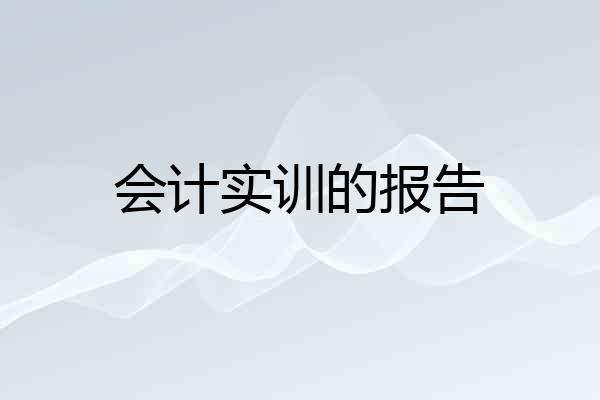 会计实训的报告