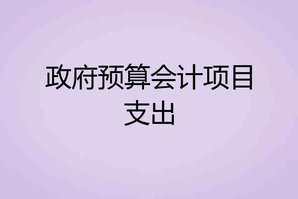 政府预算会计项目支出