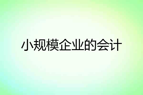 小规模企业的会计