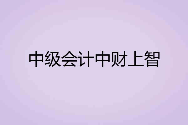 中级会计中财上智