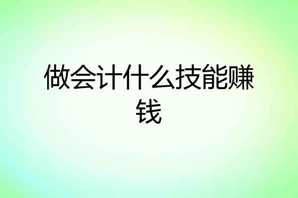 做会计什么技能赚钱