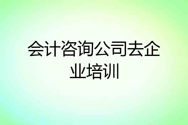 会计咨询公司去企业培训