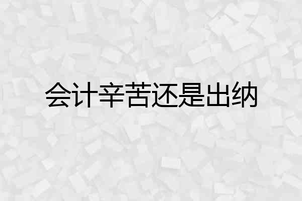 会计辛苦还是出纳