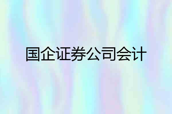 国企证券公司会计