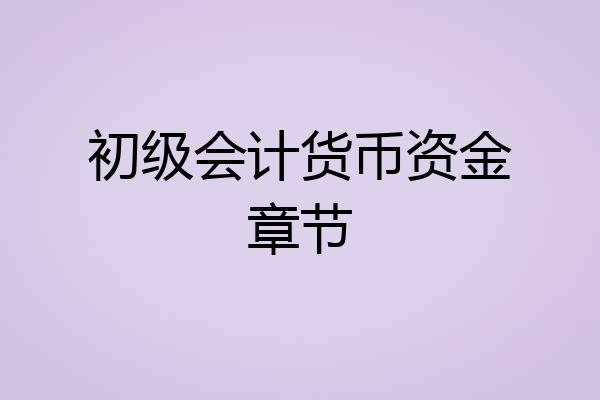 初级会计货币资金章节