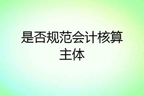 是否规范会计核算主体