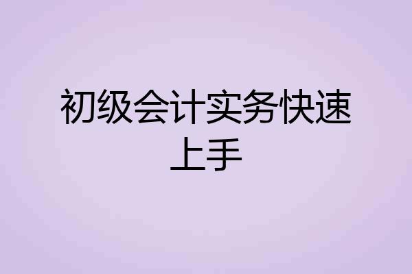 初级会计实务快速上手