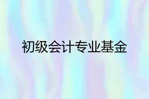初级会计专业基金