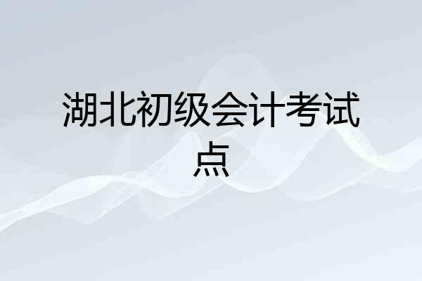 湖北初级会计考试点