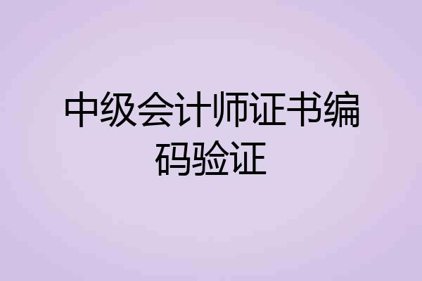 中级会计师证书编码验证