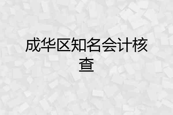 成华区知名会计核查