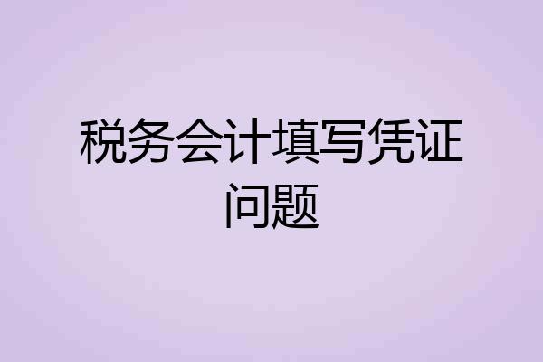税务会计填写凭证问题