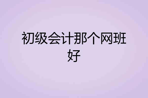 初级会计那个网班好