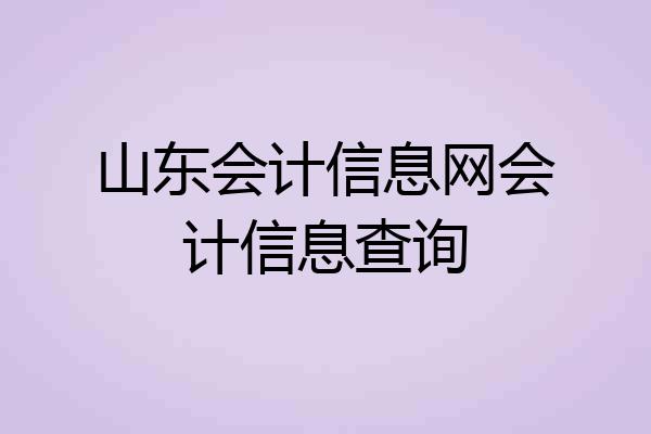 山东会计信息网会计信息查询