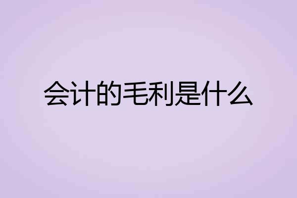 会计的毛利是什么
