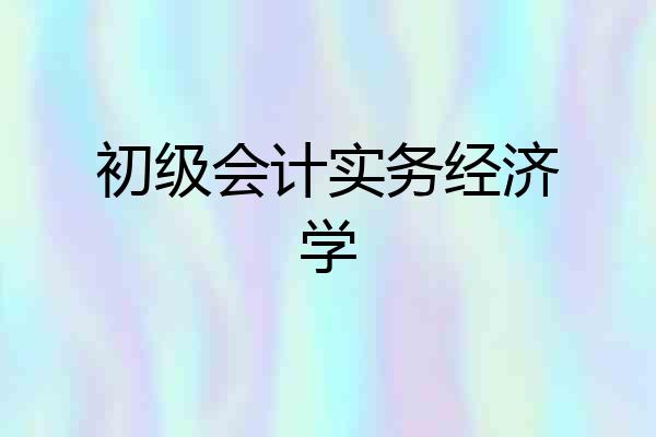 初级会计实务经济学