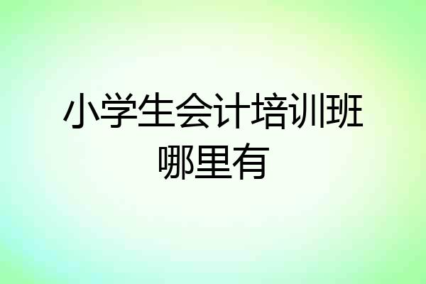 小学生会计培训班哪里有