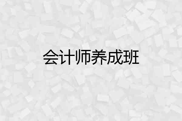 会计师养成班