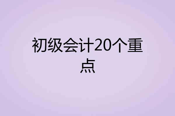 初级会计20个重点