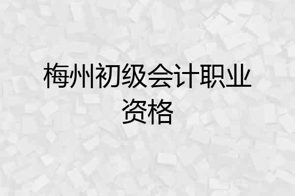 梅州初级会计职业资格