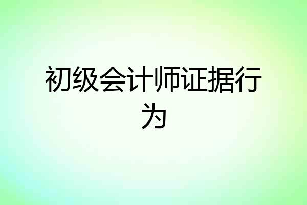 初级会计师证据行为
