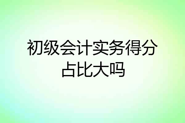 初级会计实务得分占比大吗