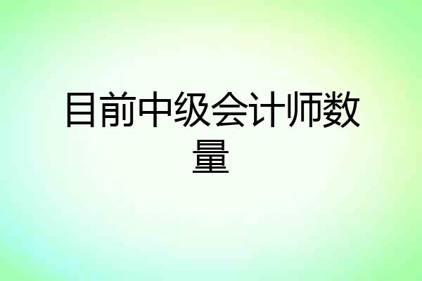 目前中级会计师数量