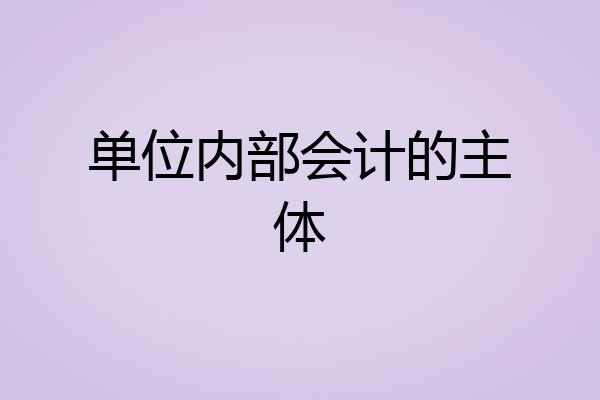 单位内部会计的主体
