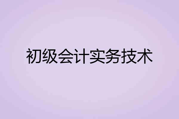 初级会计实务技术