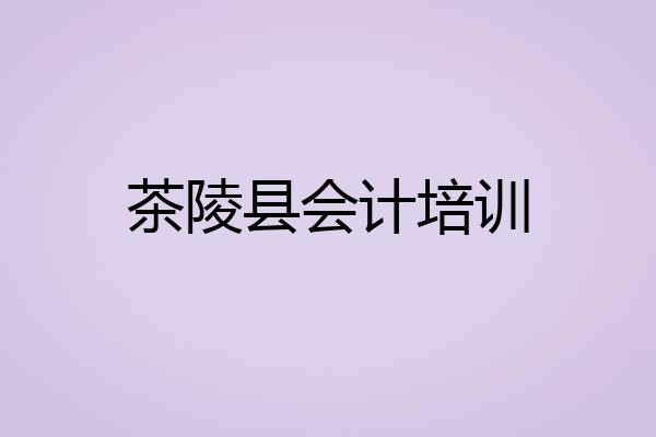 茶陵县会计培训