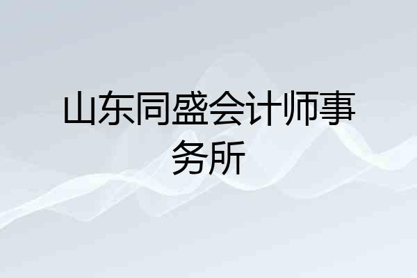 山东同盛会计师事务所