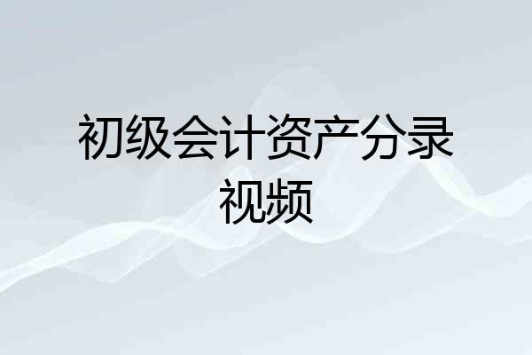 初级会计资产分录视频