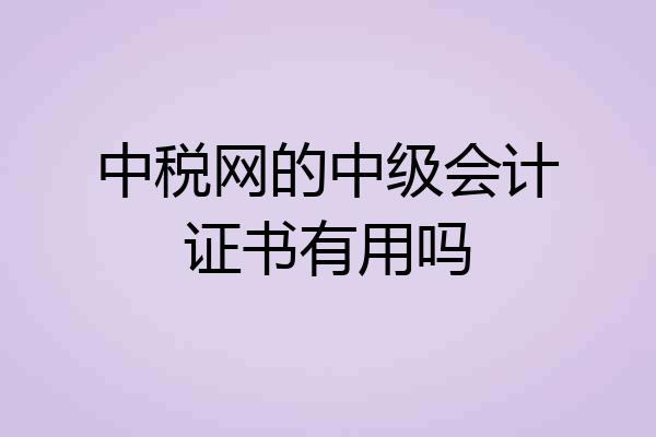 中税网的中级会计证书有用吗