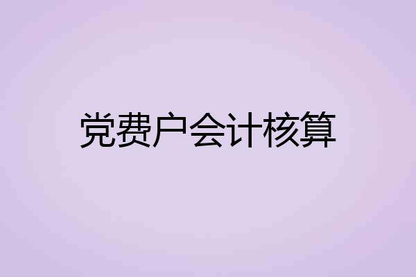 党费户会计核算