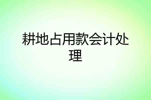 耕地占用款会计处理
