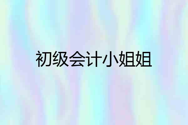 初级会计小姐姐