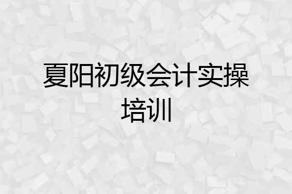 夏阳初级会计实操培训