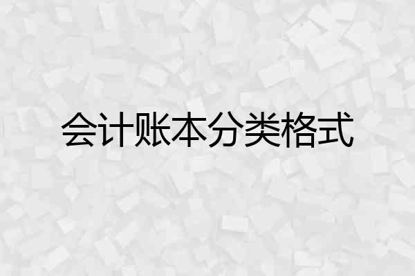 会计账本分类格式