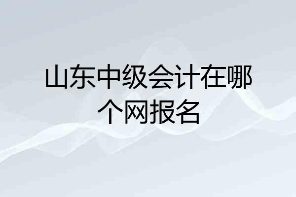 山东中级会计在哪个网报名