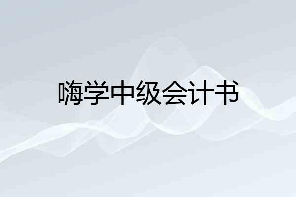 嗨学中级会计书