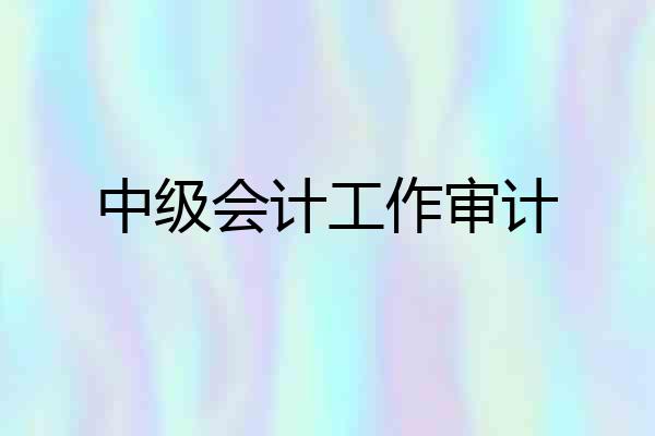 中级会计工作审计