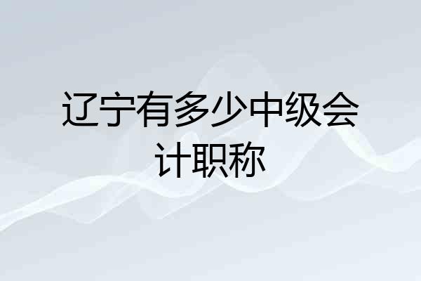 辽宁有多少中级会计职称