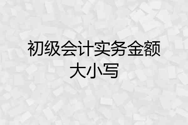 初级会计实务金额大小写