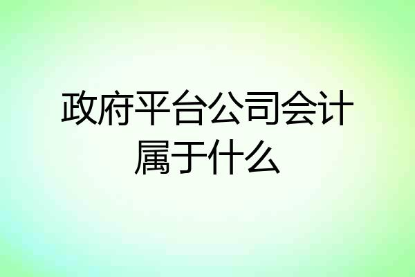 政府平台公司会计属于什么