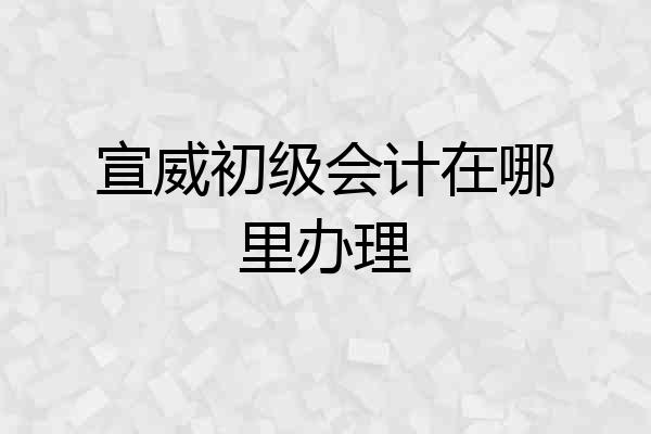 宣威初级会计在哪里办理