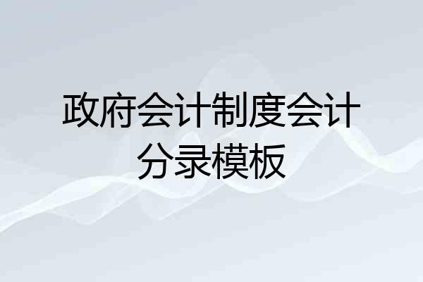 政府会计制度会计分录模板