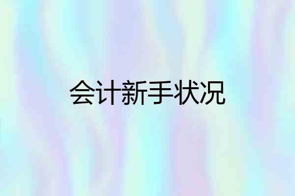 会计新手状况