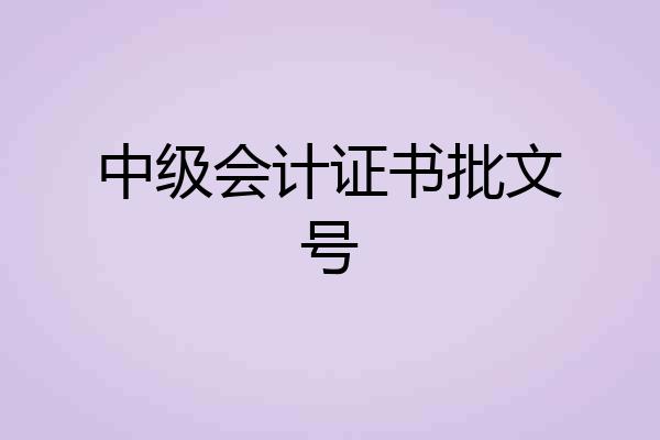 中级会计证书批文号
